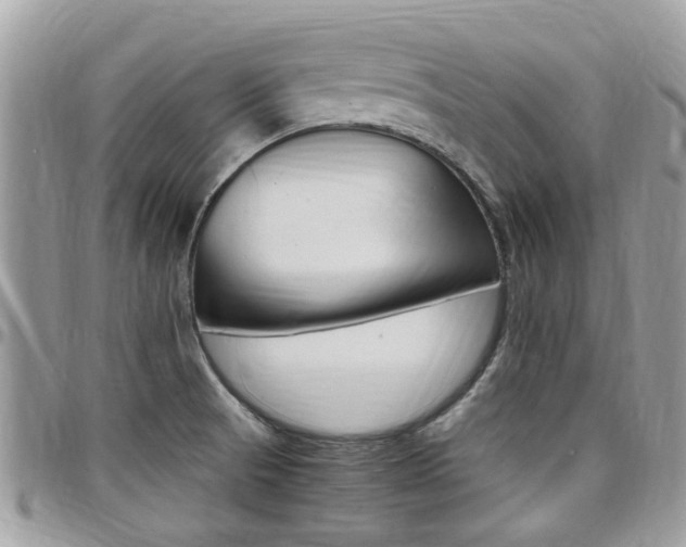 X0000097981521200803241030