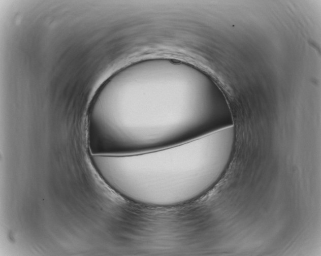 X0000097981522200803241030