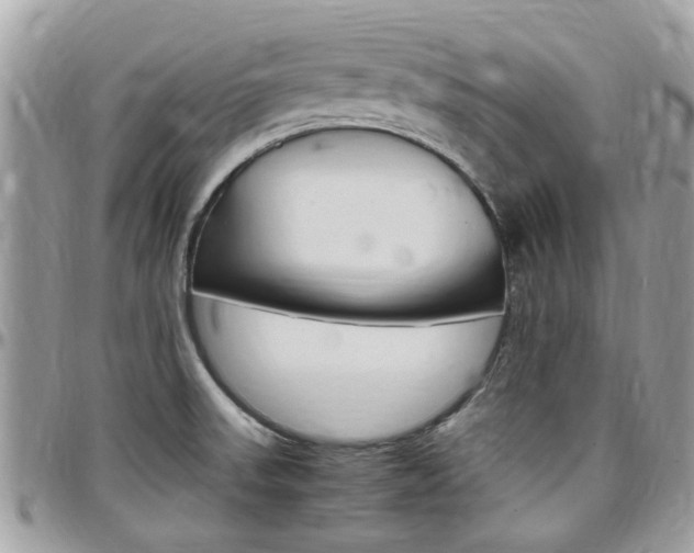X0000097981523200803241030