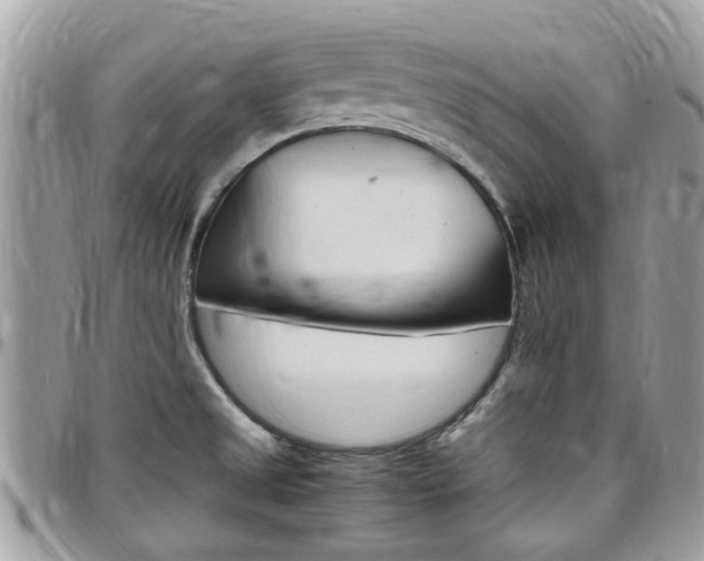 X0000097981525200803241030