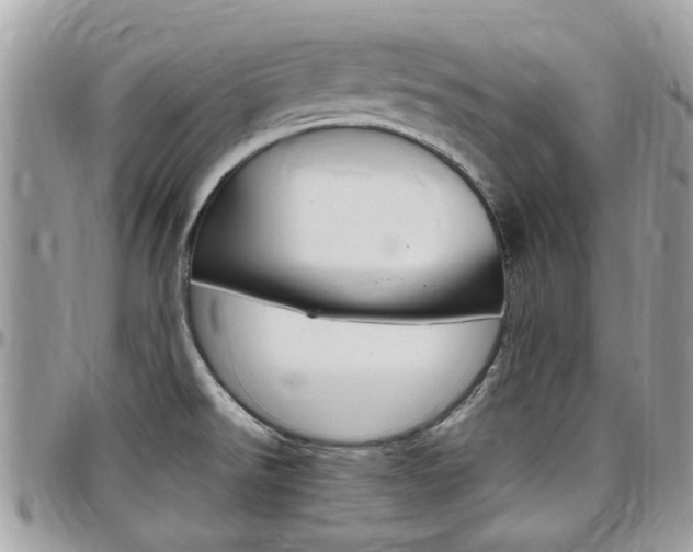X0000097981526200803241030