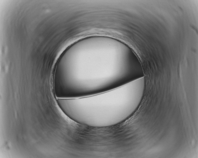 X0000097981531200803241030