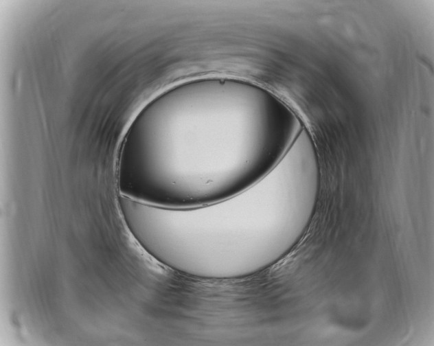 X0000097981532200803241030