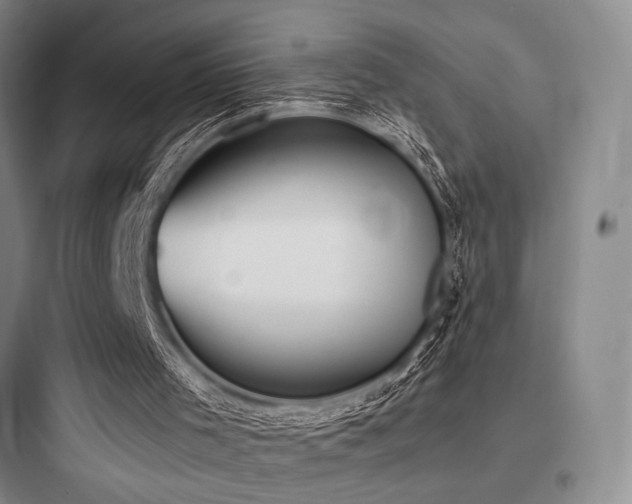 X0000097980001200803241310