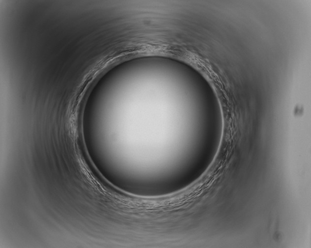 X0000097980002200803241310