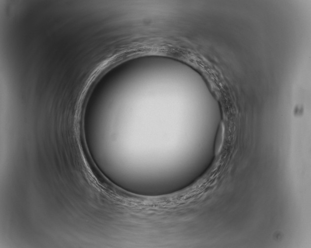 X0000097980003200803241310