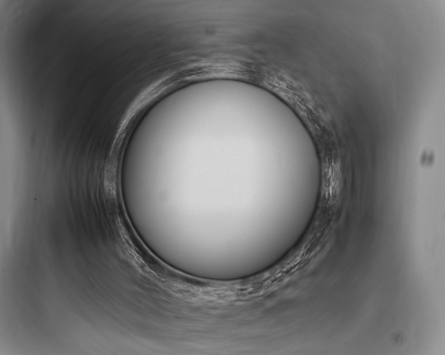 X0000097980004200803241310
