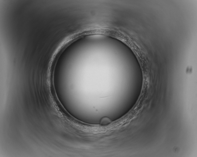 X0000097980006200803241310