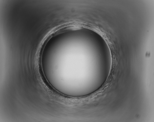 X0000097980007200803241310
