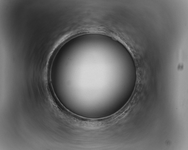 X0000097980008200803241310