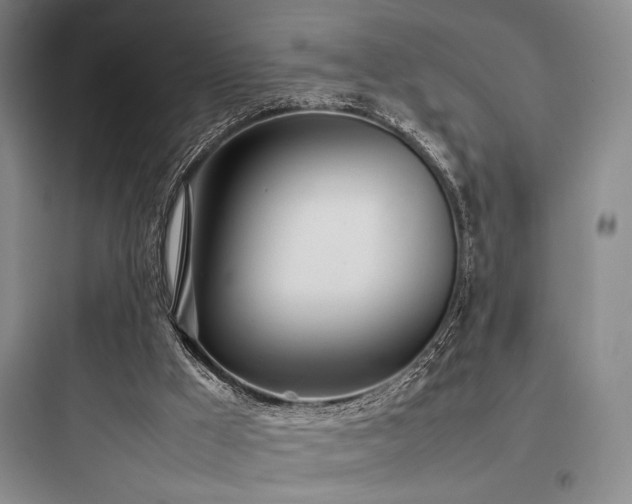 X0000097980009200803241310