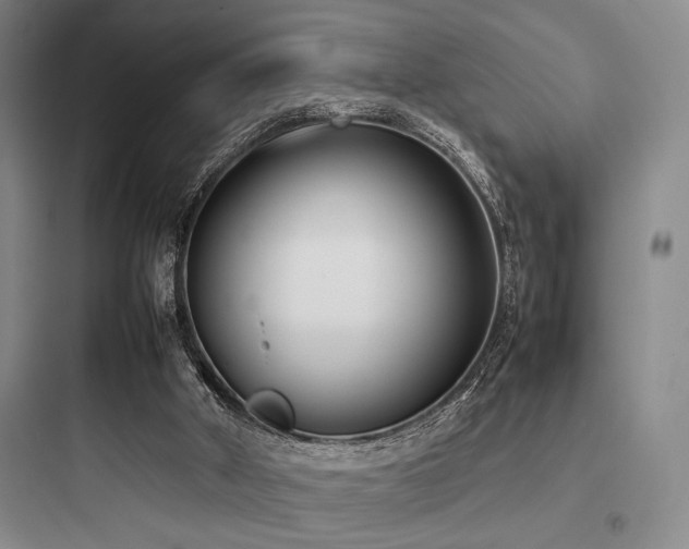 X0000097980010200803241310