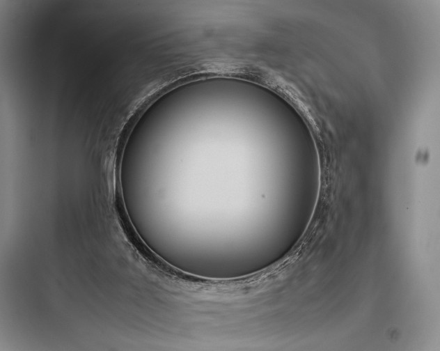 X0000097980011200803241310