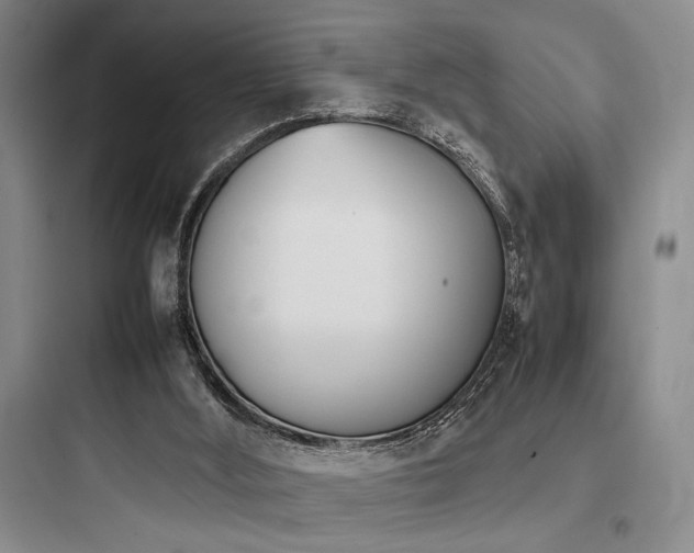 X0000097980012200803241310