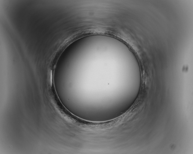 X0000097980013200803241310