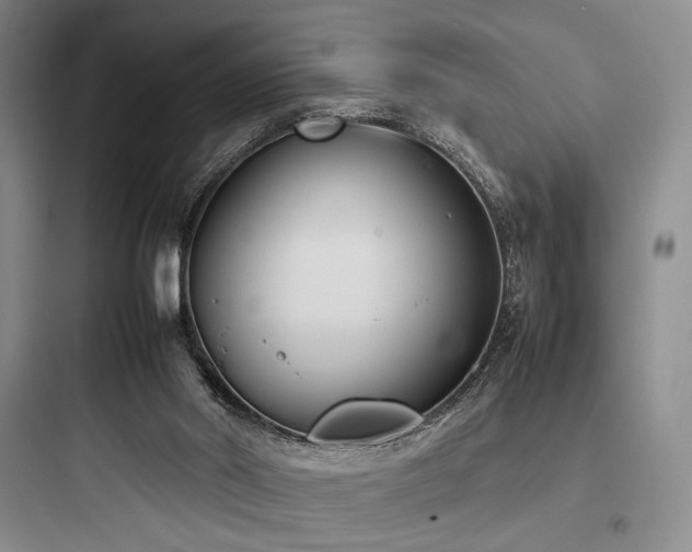 X0000097980014200803241310