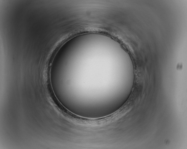 X0000097980015200803241310