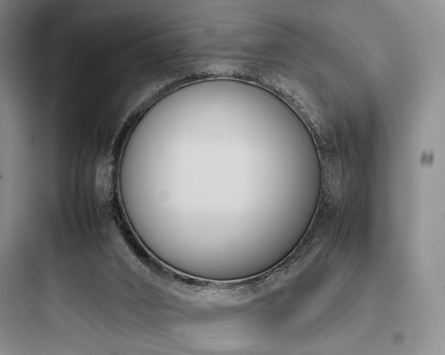 X0000097980016200803241310