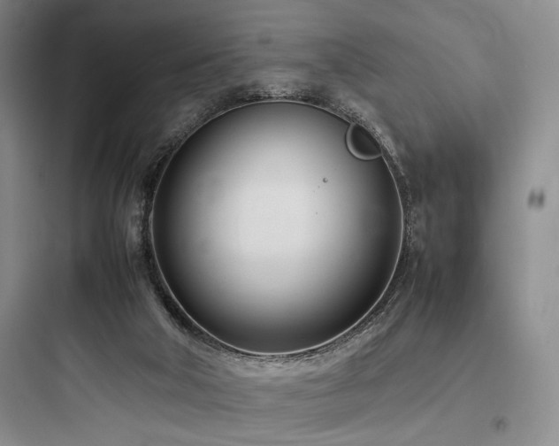 X0000097980018200803241310
