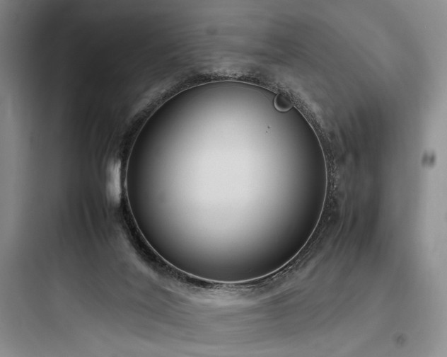 X0000097980020200803241310
