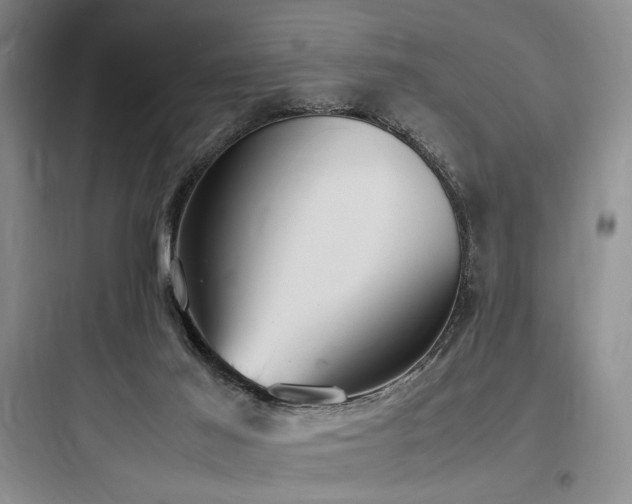 X0000097980021200803241310
