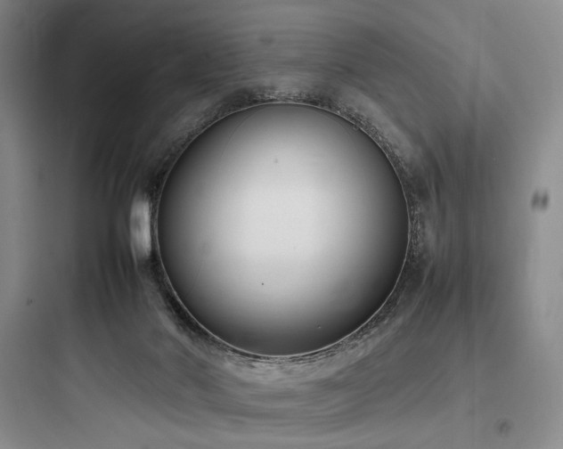 X0000097980022200803241310