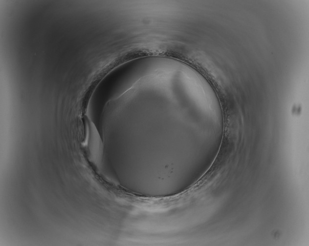 X0000097980023200803241310