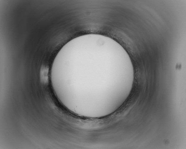 X0000097980024200803241310