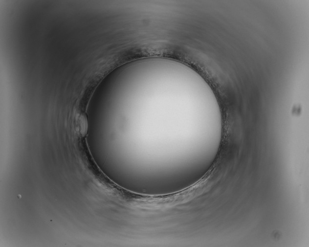 X0000097980025200803241310