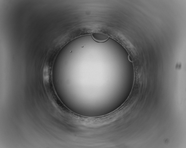 X0000097980026200803241310