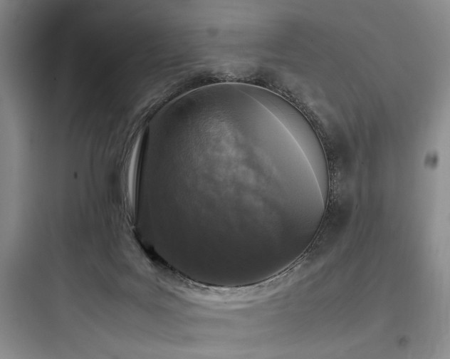 X0000097980027200803241310