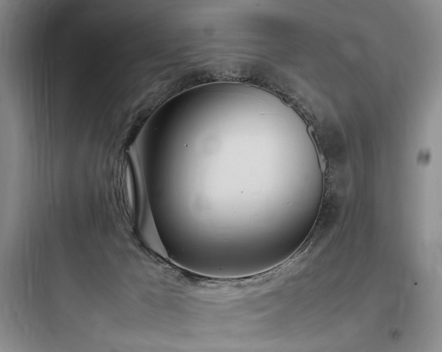 X0000097980029200803241310