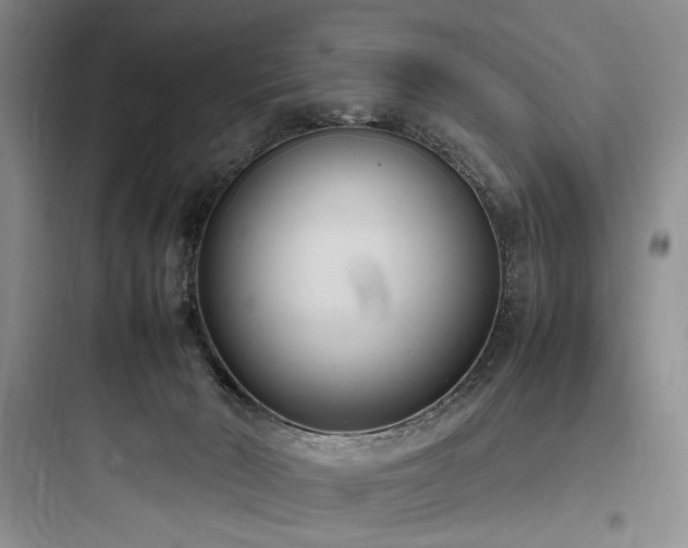 X0000097980030200803241310