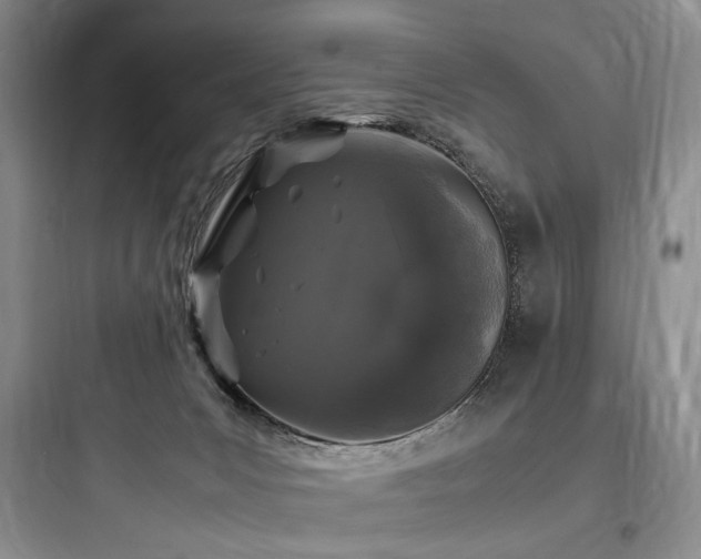 X0000097980031200803241310