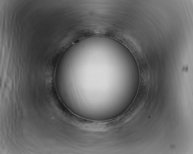 X0000097980032200803241310