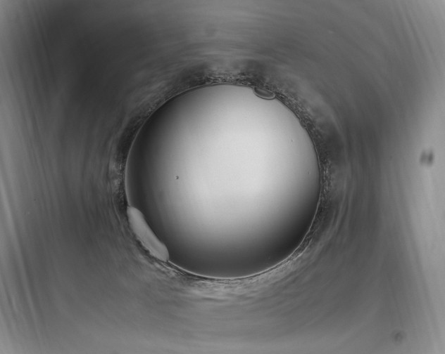 X0000097980033200803241310
