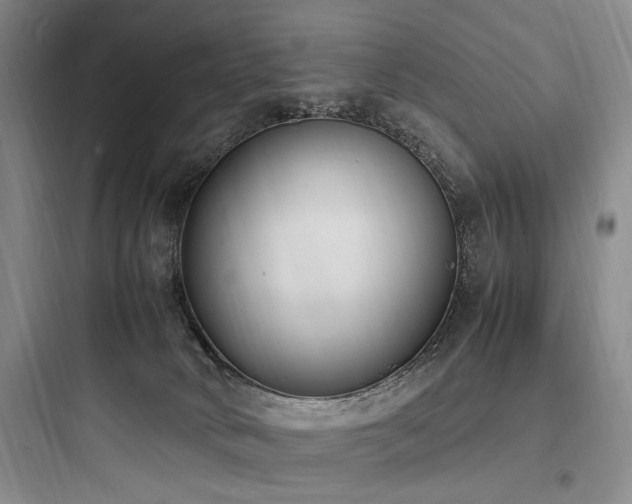 X0000097980034200803241310