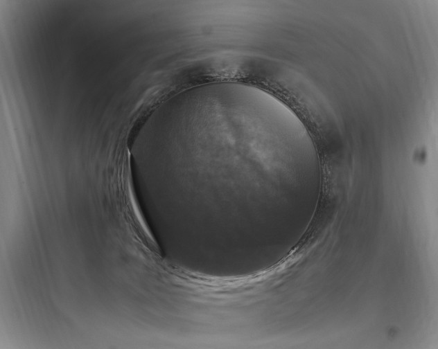 X0000097980035200803241310