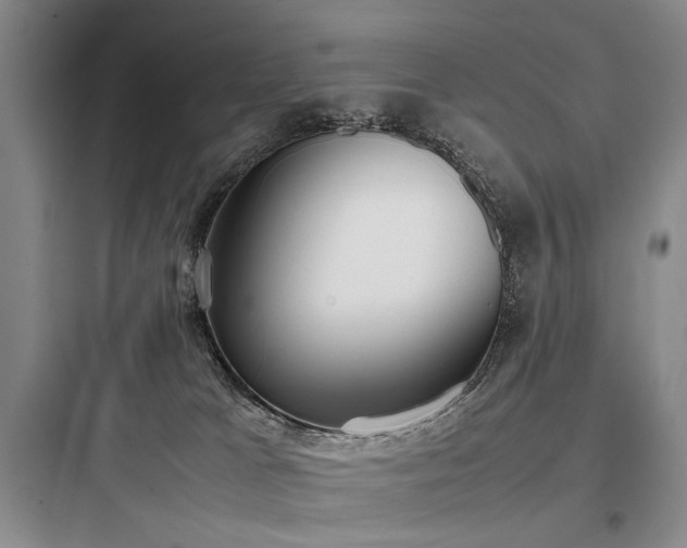 X0000097980037200803241310