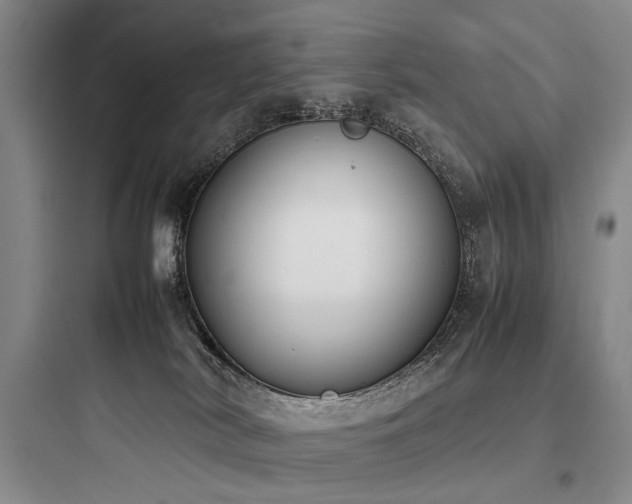 X0000097980038200803241310