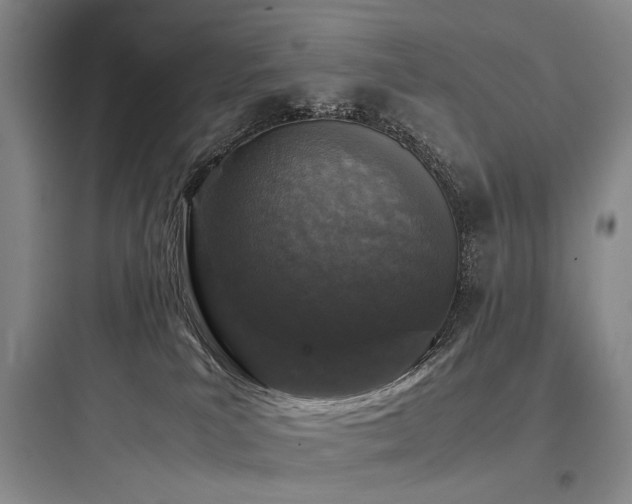 X0000097980039200803241310