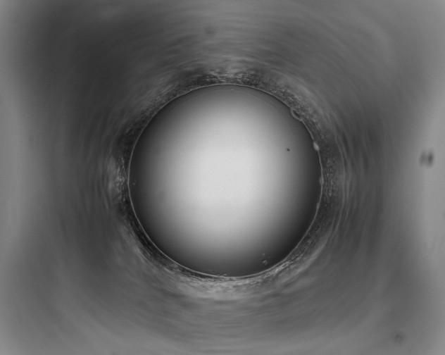 X0000097980040200803241310