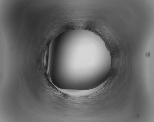X0000097980041200803241310