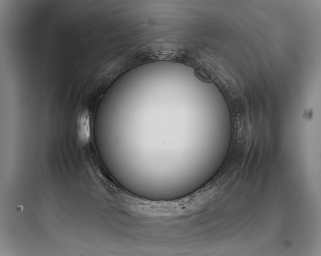 X0000097980042200803241310
