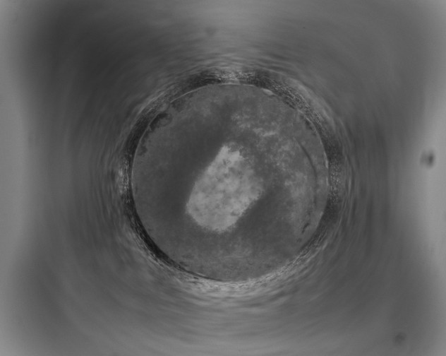 X0000097980043200803241310