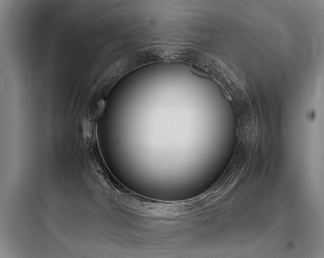 X0000097980044200803241310