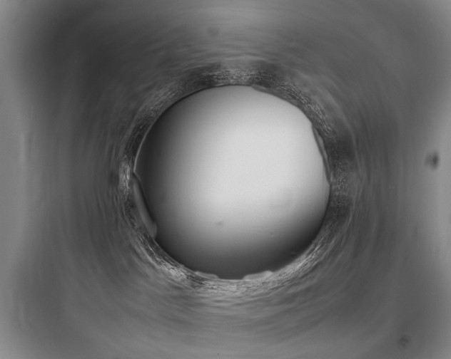 X0000097980045200803241310