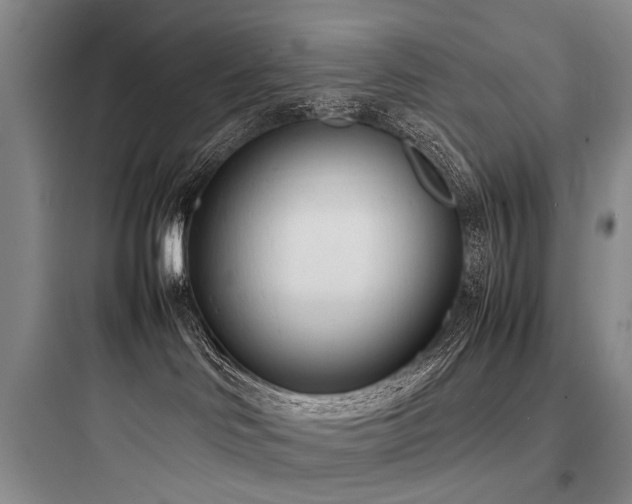 X0000097980046200803241310
