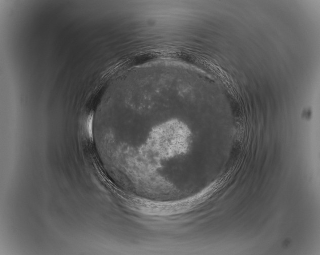 X0000097980047200803241310