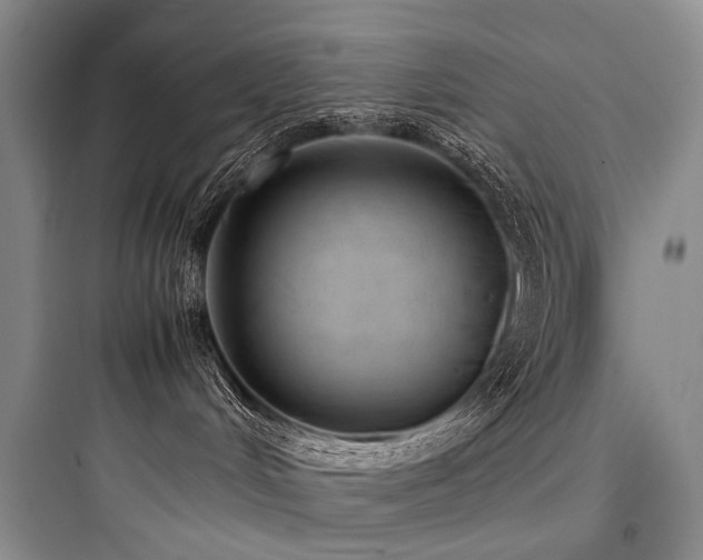 X0000097980048200803241310